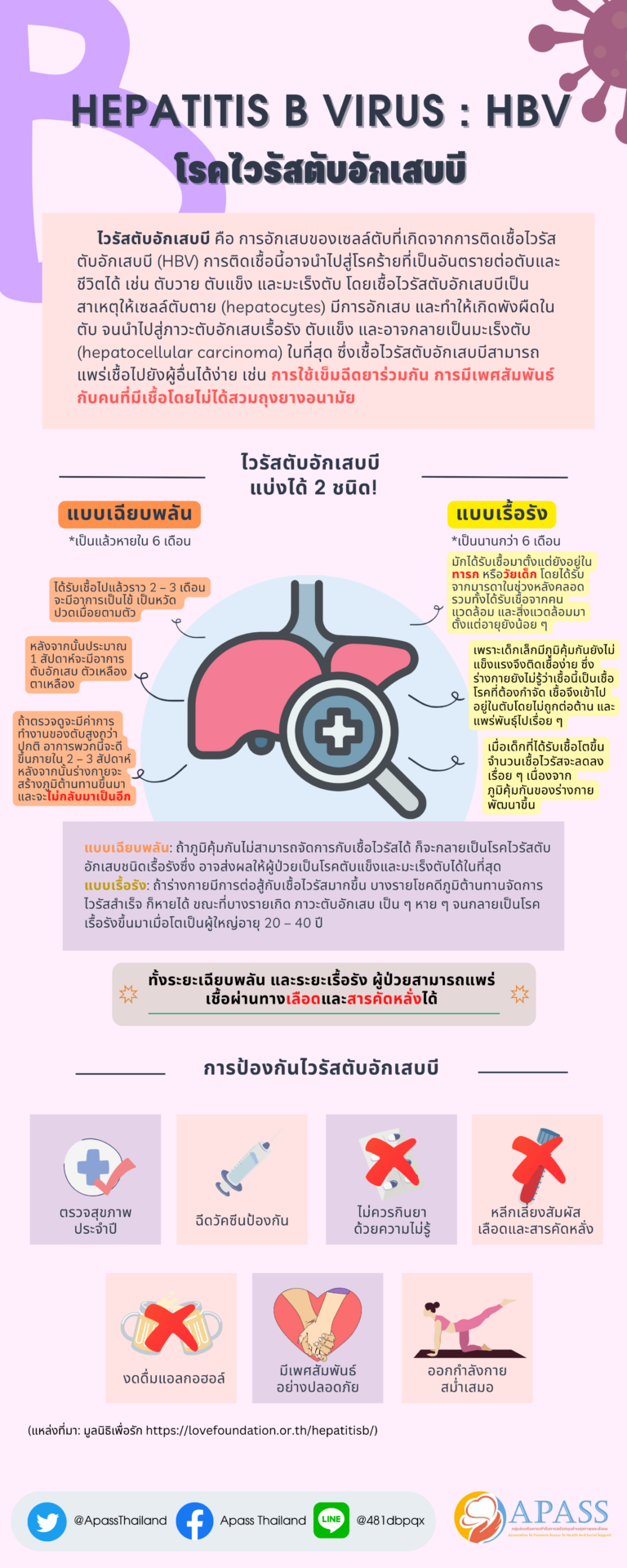 Hepatitis B virus  HBV